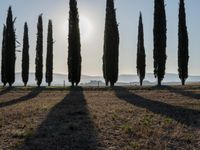 Dawn in Tuscany, Italy