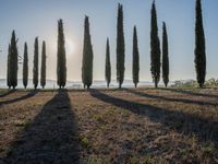 Dawn in Tuscany, Italy