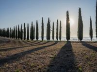 Dawn in Tuscany, Italy