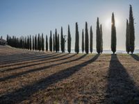 Dawn in Tuscany, Italy