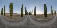 the sky is clear and there is an upside down image of a country road in motion