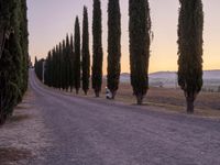 Dawn in Tuscany, Italy: Rugged Road 001