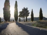 Dawn in Tuscany: Italy's Rural Road 001