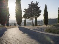 Dawn in Tuscany: Italy Rural Road 002