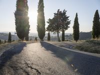 Dawn in Tuscany: Italy Rural Road 003