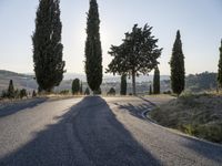 Dawn in Tuscany, Italy: A Scenic Road