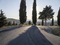 Dawn in Tuscany, Italy: A Scenic Road