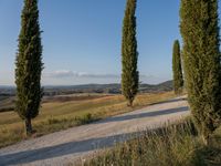 Dawn Tuscany Landscape - Nature Rural 001