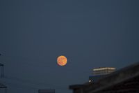 a large red full moon sits behind a skyscraper, high rise buildings and electricity lines