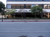 A Day in Los Angeles: Asphalt and Architecture