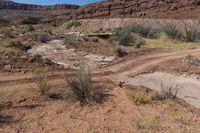 A Day in Utah: Exploring the Majestic Red Rock Formations of Canyonlands