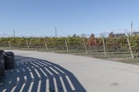 the back of a bike is parked at the vineyard yard next to the road that is a wooden fence