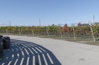 the back of a bike is parked at the vineyard yard next to the road that is a wooden fence