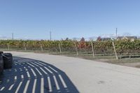 the back of a bike is parked at the vineyard yard next to the road that is a wooden fence