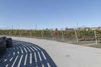 the back of a bike is parked at the vineyard yard next to the road that is a wooden fence