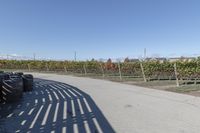 the back of a bike is parked at the vineyard yard next to the road that is a wooden fence