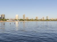 water and buildings with the city in the background during day time at lake ontario park