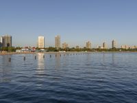 water and buildings with the city in the background during day time at lake ontario park