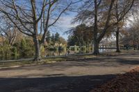 a path through the park leads to a body of water with trees and leaves on either side of it