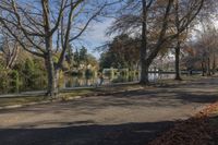 a path through the park leads to a body of water with trees and leaves on either side of it