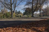 a path through the park leads to a body of water with trees and leaves on either side of it