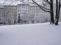 Daytime Landscape View: Building, Window, and Water