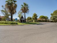 Daytime Landscape: Nature and a Clear Sky in Mallorca