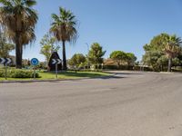 Daytime Landscape: Nature and a Clear Sky in Mallorca