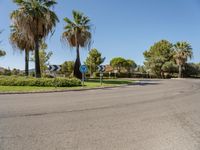 Daytime Landscape: Nature and a Clear Sky in Mallorca