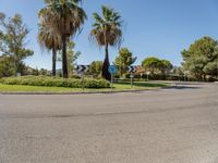 Daytime Landscape: Nature and a Clear Sky in Mallorca