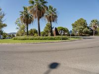 Daytime Landscape: Nature and a Clear Sky in Mallorca