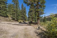 Daytime Landscape: Profile of a Gravel Road