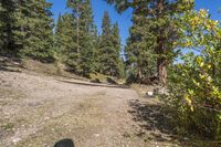 Daytime Landscape: Profile of a Gravel Road