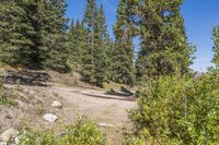 Daytime Landscape: Profile of a Gravel Road
