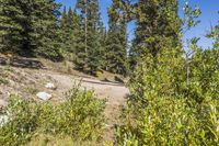Daytime Landscape: Profile of a Gravel Road