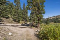 Daytime Landscape: Profile of a Gravel Road