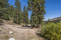Daytime Landscape: Profile of a Gravel Road