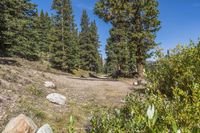 Daytime Landscape: Profile of a Gravel Road