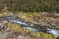 a mountain stream that runs down to some small rocks and grass beside it are evergreen trees and bushes