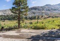 Daytime Landscape: Rugged Mountain View