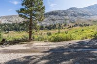 Daytime Landscape: Rugged Mountain View