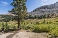 Daytime Landscape: Rugged Mountain View