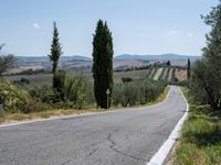 Daytime Landscape in Tuscany: Clear Sky and Natural Beauty