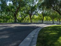 an empty road in the middle of a tree lined area that includes grassy lawn and trees