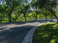 an empty road in the middle of a tree lined area that includes grassy lawn and trees