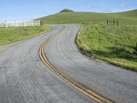 Daytime Nature: A Hill Road