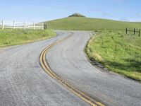 Daytime Nature: A Hill Road