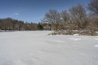 a view from the snow covered side walk of a park with trees and snowshops