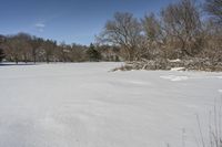 a view from the snow covered side walk of a park with trees and snowshops