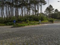 Daytime in Porto, Portugal: Clear Sky Over Residential Area